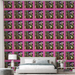 Papier Peint Collage photo de trois photos de Meerkat,