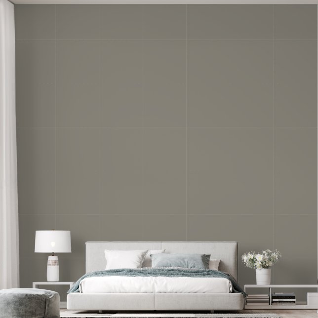 Papier Peint Élégant gris clair Brown couleur uni (Chambre à coucher)