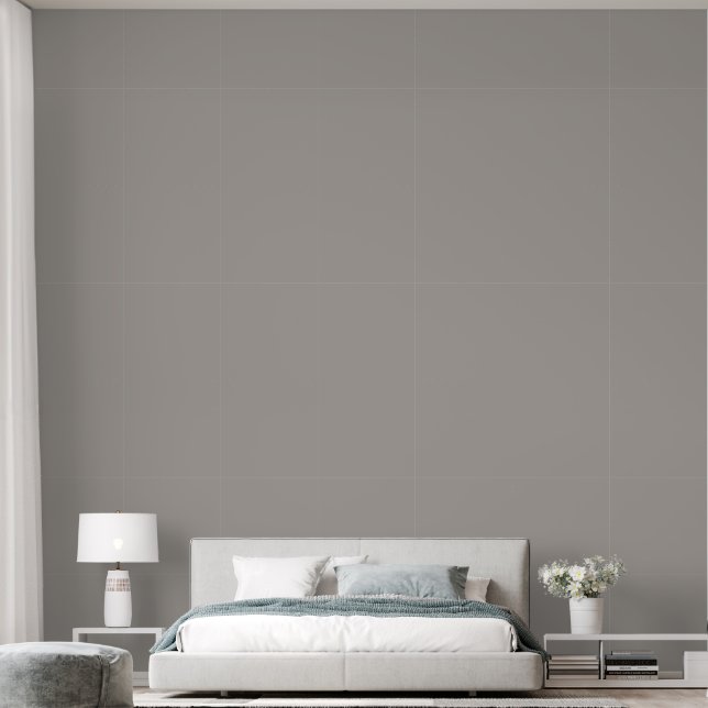 Papier Peint Élégant gris clair clair clair uni couleur unie ch (Chambre à coucher)
