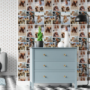 Papier Peint Empreintes de patte noires Votre chien 14 Photos M