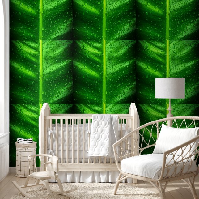 Papier Peint Feuilles avec gouttes de pluie (Enfants)
