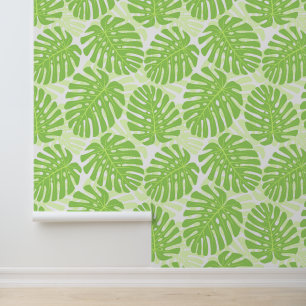 Papier Peint Feuilles De Plante Tropical - Monstera Motif