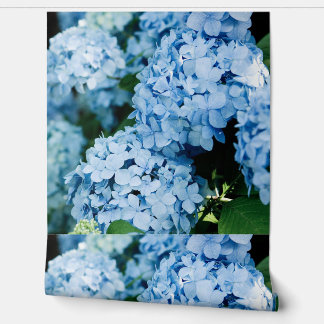Papier Peint Fleur