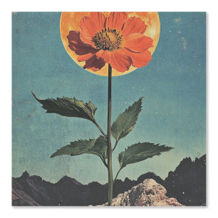 Papier Peint Fleur orange Lune - Charme Boho Vintage (2)