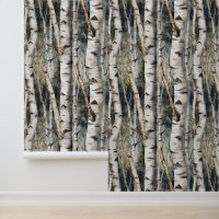 Forêt de troncs de Birch Tree