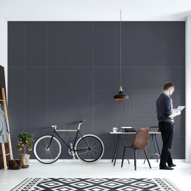 Papier Peint Gris de charbon moderne | Hiver Décor de bureau (Salon)