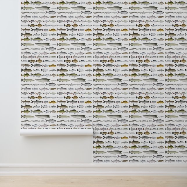 Papier Peint Groupe européen du poisson d'eau douce (Application)