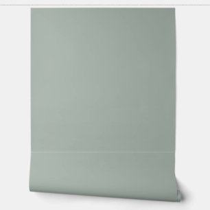 Papier Peint joli vert clair uni / motif