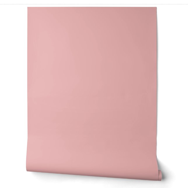 Papier Peint jolie couleur/ motif uni rose clair (Déroulement)