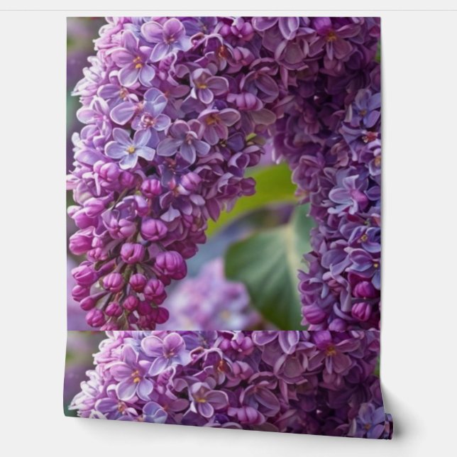 Papier peint Lilas (Déroulement)