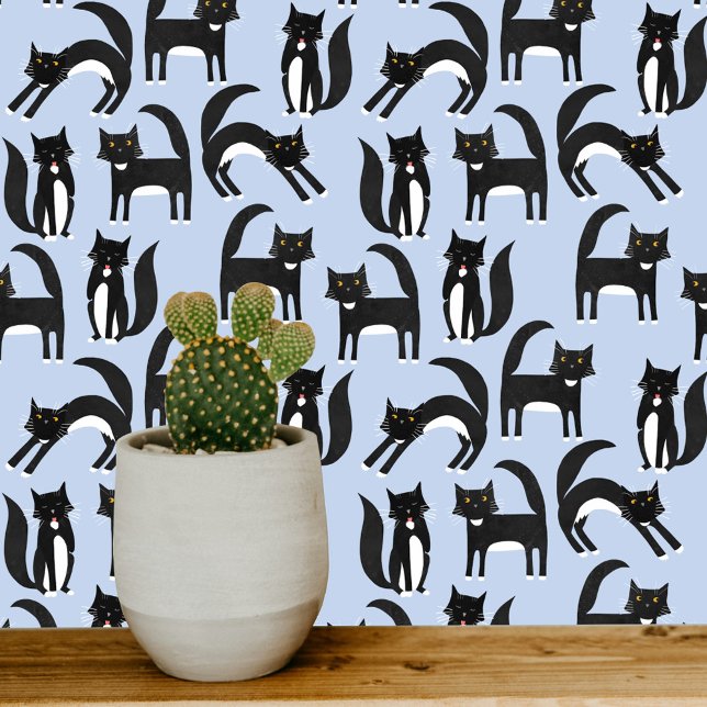 Papier Peint Motif bleu Chat noir et blanc (Black and white tuxedo cat  art wallpaper on a blue background)
