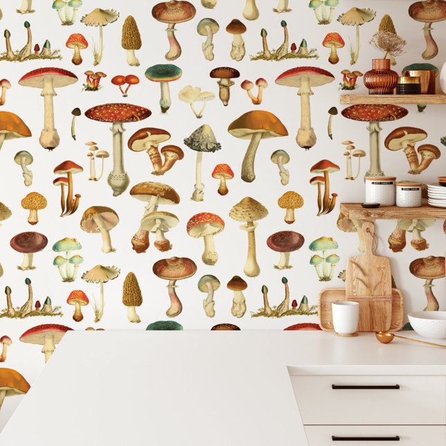 Papier Peint Motif sans couture de champignons vintage (In situ)