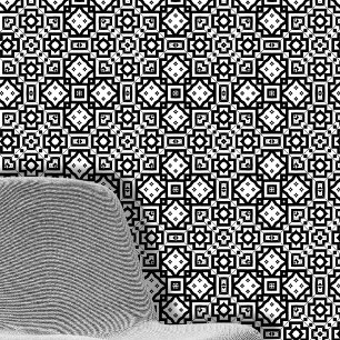 Papier Peint Motifs géométriques symétriques noir et blanc
