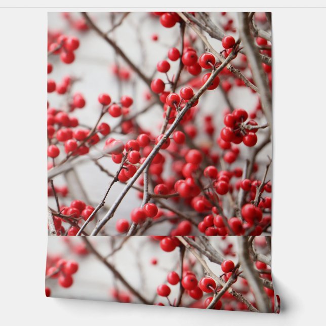 Papier Peint Papier peint, Accents muraux (Déroulement)