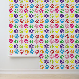 Papier Peint Paws Colorés, Paws Chiens, Paws Chat