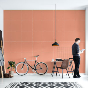 Papier Peint Pêche de corail minimaliste couleur unie moderne