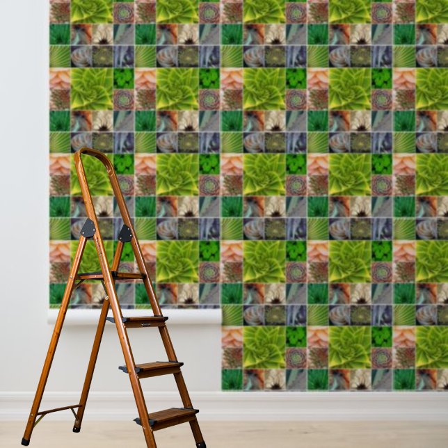 Papier Peint Peel and Stick Fond d'écran Cactus Plantes (Peel and Stick Wallpaper Cactus Plants Wallpaper)