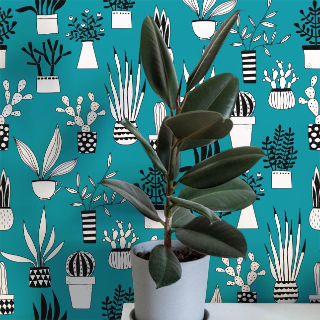 Papier Peint Plante de maison succulente cactus Art vert sarcel (Créateur téléchargé)