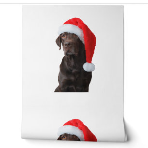 Papier Peint Portrait de chien du laboratoire de chocolat Santa