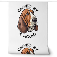 Propriété de quelqu'un Basset Hound