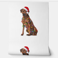 Rhodesian Ridgeback Noël Lumières Noël Chien de No