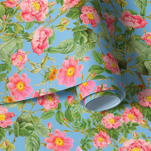 Papier Peint Roses de jardin sur l'arrière - plan bleu ciel