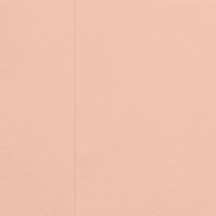 Papier Peint Safari singe/lion mignon