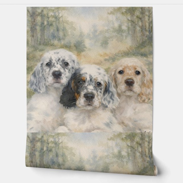 Papier Peint Setter anglais (Déroulement)