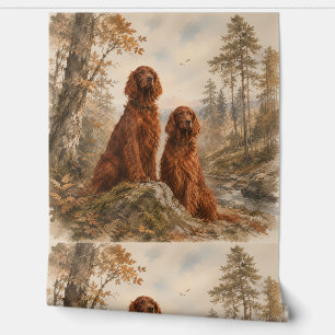 Papier Peint Setter irlandais