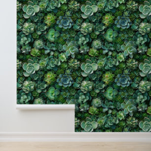 Papier Peint Succulent motif vert de la flore du jardin