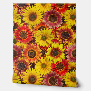 Papier Peint Sunflowers Motif sans couture