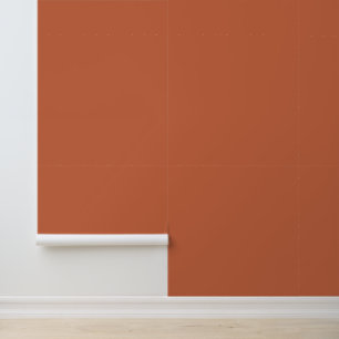 Papier Peint Terracotta Terre chaude Brown Couleur personnalisé