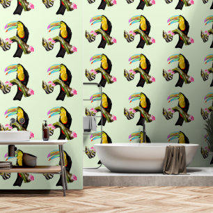 Papier Peint Toucan Tropical Toco Bird