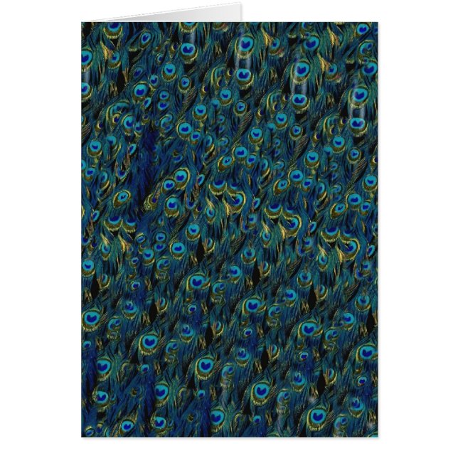 Papier peint vintage Pretty Peacock Bird Feaths (Devant)