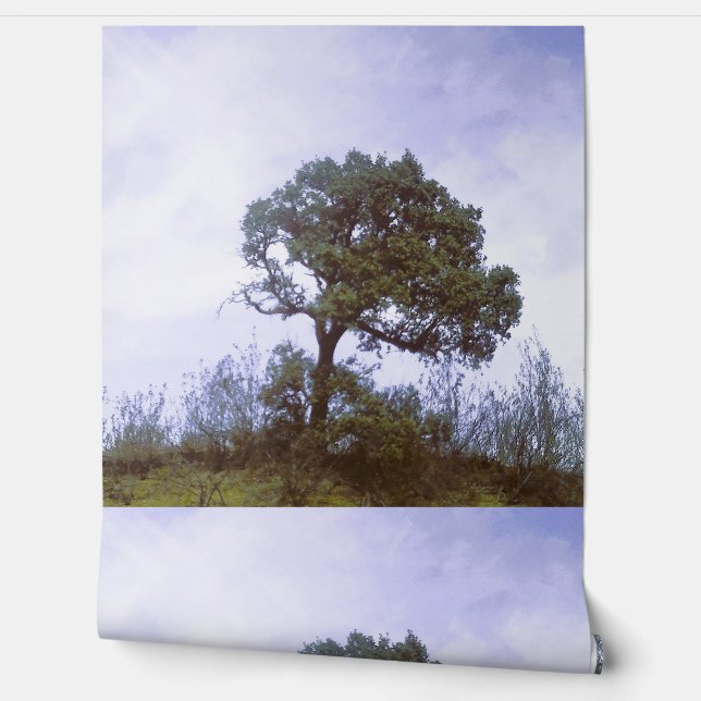 Papier Peint Wallpaper style design (Déroulement)