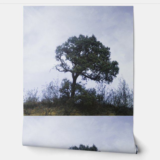 Papier Peint Wallpaper style design (Déroulement)