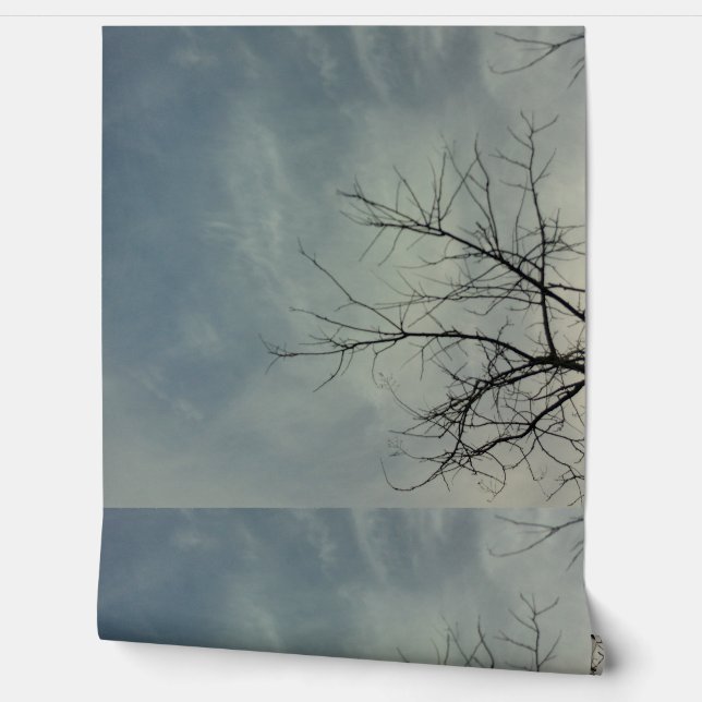 Papier Peint Wallpaper style design (Déroulement)