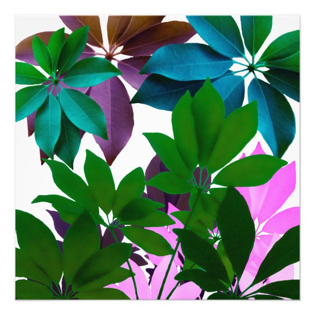 Papier photo professionnel Feuille vert et rose (Devant)