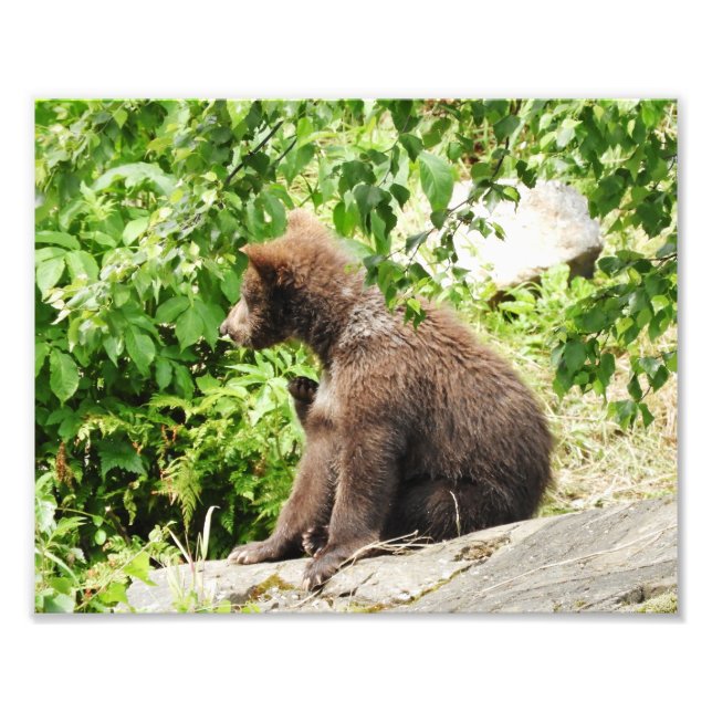 Papier photo professionnel Kodak de 10 po x 8 po ( (Devant)