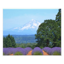 Papier photo professionnel Kodak de 10 po x 8 po (