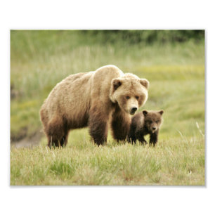 Papier photo professionnel Kodak de 10 po x 8 po (