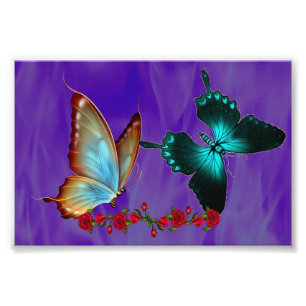 Papier photo professionnel Kodak de 6 po x 4 po (s