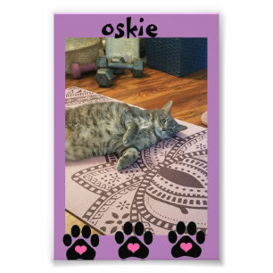 Papier photo professionnel Kodak (Satin)