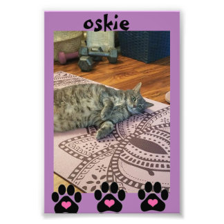 Papier photo professionnel Kodak (Satin)