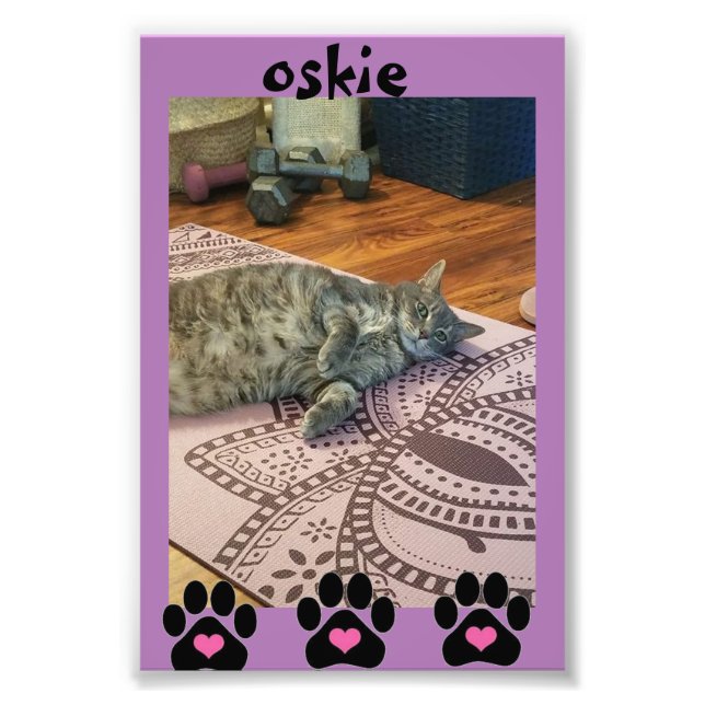 Papier photo professionnel Kodak (Satin) (Devant)