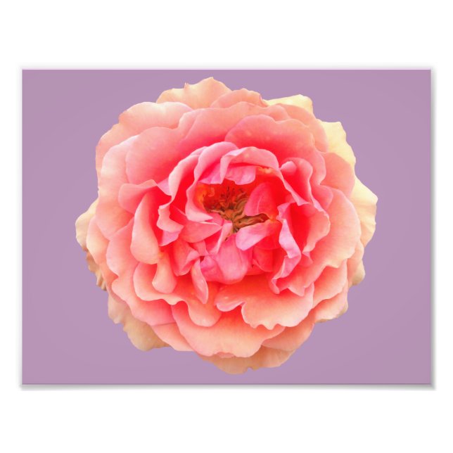 Papier photo professionnel Pinky Kodak (Satin) (Devant)