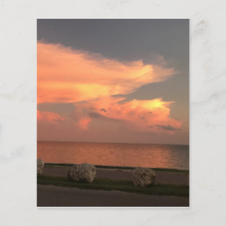 Papier plat de 4,5 po x 5,6 po