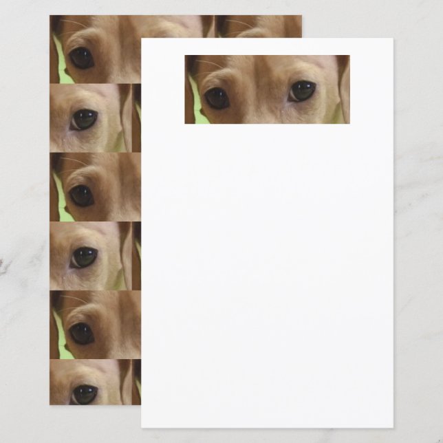 papier scrapbook dachshund crème yeux (Devant / Derrière)
