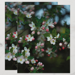 Papier scrapbook d'arbre fruitier lunatique en fle