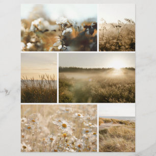 Papier scrapbook de découpe de nature à l'heure do